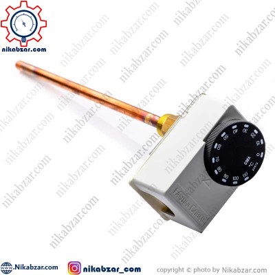 ترموستات مستغرق فانتینی FANTINI COSMI مدل C08A